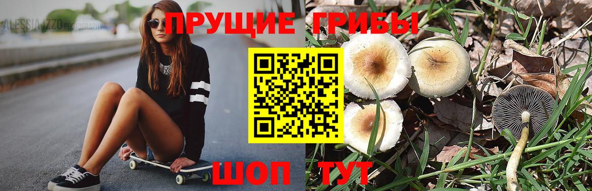 Туймазы  Галлюциногенные грибы Psilocybe  наркотики  Вход с VPN 
