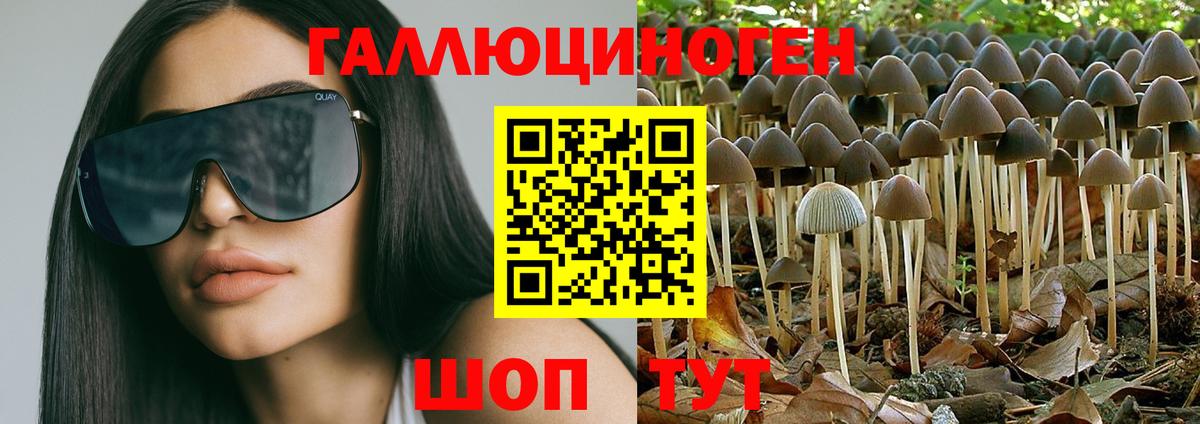 Галлюциногенные грибы Psilocybine cubensis Туймазы